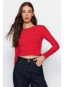 Trendyol Red Striped Slim Crop Crew Neck Ribbed Flexible Knitted Blouse