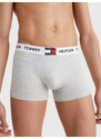 Spodní díl pánského spodního prádla TRUNK UM0UM01810P01 - Tommy Hilfiger