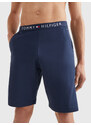 Pánské šortky JERSEY SHORT UM0UM01203416 - Tommy Hilfiger