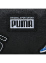 Ledvinka Puma