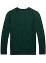 Dětský bavlněný svetr Polo Ralph Lauren zelená barva