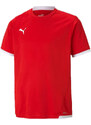 Puma teamLIGA Jersey Jr 704925 01