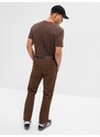Kalhoty khaki slim GapFlex - Pánské