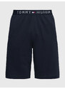 Pánské šortky JERSEY SHORT UM0UM03080DW5 - Tommy Hilfiger