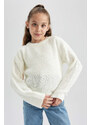 DEFACTO Girl Regular Fit Crew Neck Pullover