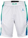 Šortky Jordan Slovenia Limited Home Men's Shorts sv0049-100