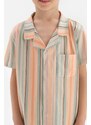 Dagi Multicolour Shirt Collar Striped Short Sleeved Shorts Pajamas Set