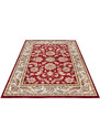 Hanse Home Collection koberce Kusový koberec Luxor 105642 Reni Red Cream - 57x90 cm