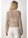 Happiness İstanbul Women's Biscuit Silvery Openwork Transparent Knitwear Blouse