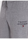 Teplákové kalhoty Tommy Hilfiger