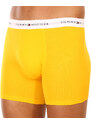 3PACK pánské boxerky Tommy Hilfiger vícebarevné (UM0UM02941 0W8)