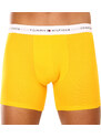 3PACK pánské boxerky Tommy Hilfiger vícebarevné (UM0UM02941 0W8)