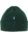 Dětska čepice Fjallraven Kids 1960 Logo Hat zelená barva