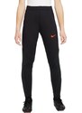 Kalhoty Nike K NK DF STRK PANT KPZ BR fd0315-013