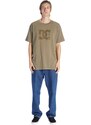 Dc shoes pánské tričko DC Star Pigment Capers Enzyme Wash | Zelená