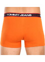 3PACK pánské boxerky Tommy Hilfiger vícebarevné (UM0UM02968 0SP)