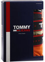 3PACK pánské boxerky Tommy Hilfiger vícebarevné (UM0UM02968 0SP)