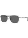 Ray-Ban RBR0102S 004/GR