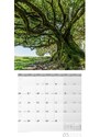 Ackermann Kunstverlag Nástěnný kalendář Stromy / Bäume Kalender 2024 24AC4412