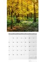 Ackermann Kunstverlag Nástěnný kalendář Stromy / Bäume Kalender 2024 24AC4412