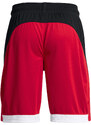 Pánské kraťasy Under Armour Baseline 10inch Short