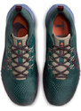 Trailové boty Nike Pegasus Trail 4 dj6158-300