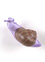 Nástěnný věšák Seletti Awake Snail #2