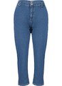 Trendyol Curve Blue High Waist Mom Fit Jeans