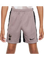 Šortky Nike THFC Y NK DF STAD SHORT 3R 2023/24 dx9857-210