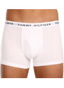 3PACK pánské boxerky Tommy Hilfiger vícebarevné (UM0UM02203 0WS)