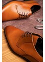 Ducavelli Elite Genuine Leather Men's Classic Shoes, Derby Classic Shoes, Lace-Up Classic Shoes.