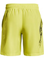 Pánské kraťasy Under Armour Woven Graphic Shorts