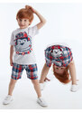 Denokids Monkey Plaid Boy's T-shirt Shorts Set