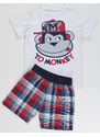 Denokids Monkey Plaid Boy's T-shirt Shorts Set