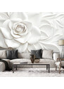 Gario Fototapeta Nádherná bílá růže Materiál: Vliesová, Rozměry: 200 x 140 cm