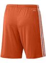 Pánské šortky Squadra 21 Short M GN8084 - Adidas