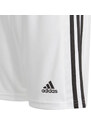 Šortky pro mládež Squadra 21 GN5766 - Adidas