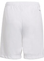 Dětské šortky Entrada 22 Short Y Jr HG6292 - Adidas