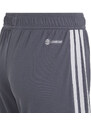 Dětské šortky Tiro 23 League Jr IB8102 - Adidas