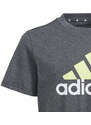 Tričko adidas Big Logo Tee Jr IJ6286