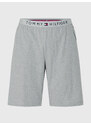 Pánské šortky JERSEY SHORT UM0UM01203004 - Tommy Hilfiger