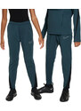 Kalhoty Nike K NK TF ACD PNT KPZ WW fj6182-328