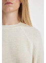 DEFACTO Regular Fit Crew Neck Knitwear Pullover