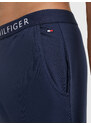 Pánské šortky JERSEY SHORT UM0UM01203416 - Tommy Hilfiger