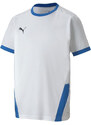 Puma teamGOAL 23 Jersey Jr 704160 12 tričko