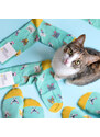 Banana Socks Banánové ponožky Sada ponožek The Cat Set