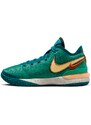 Basketbalové boty Nike ZOOM LEBRON NXXT GEN dr8784-301 42,5 EU