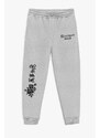 Tepláky Jogger , Barva Šedá, s Potiskem Japan Dreamer