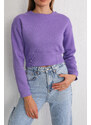 BİKELİFE Women's Lilac Waist Band Detail Fleece Knitted Sweatshirt Crop