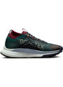 Trailové boty Nike Pegasus Trail 4 GORE-TEX dj7926-302